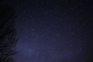 Night_Sky_Stars_Trees_03